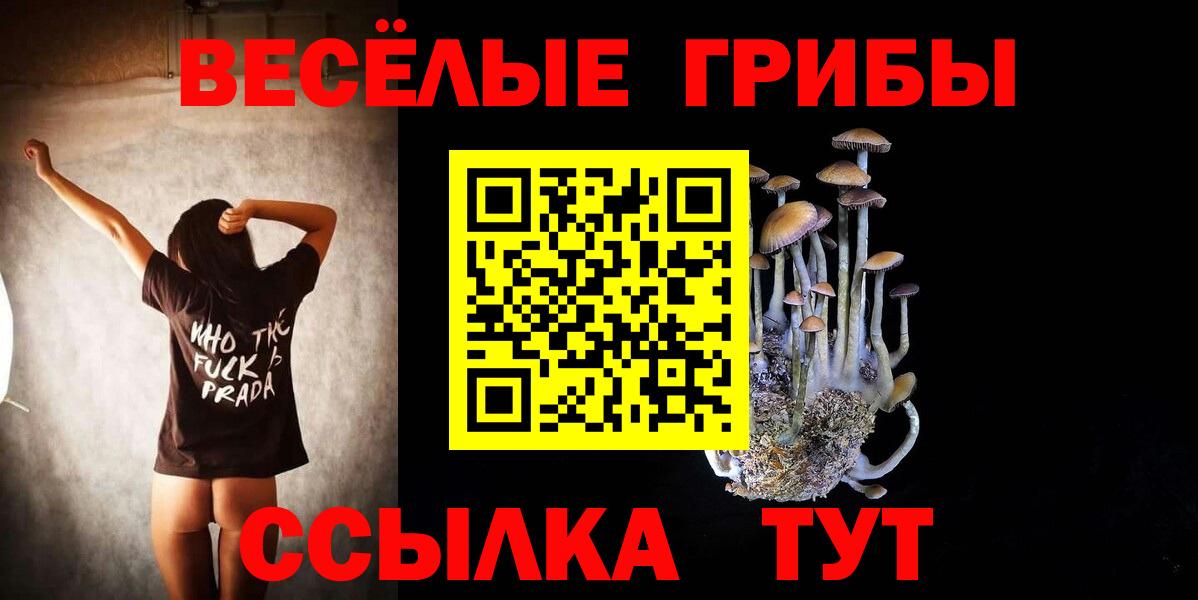Псилоцибиновые грибы ЛСД Биробиджан